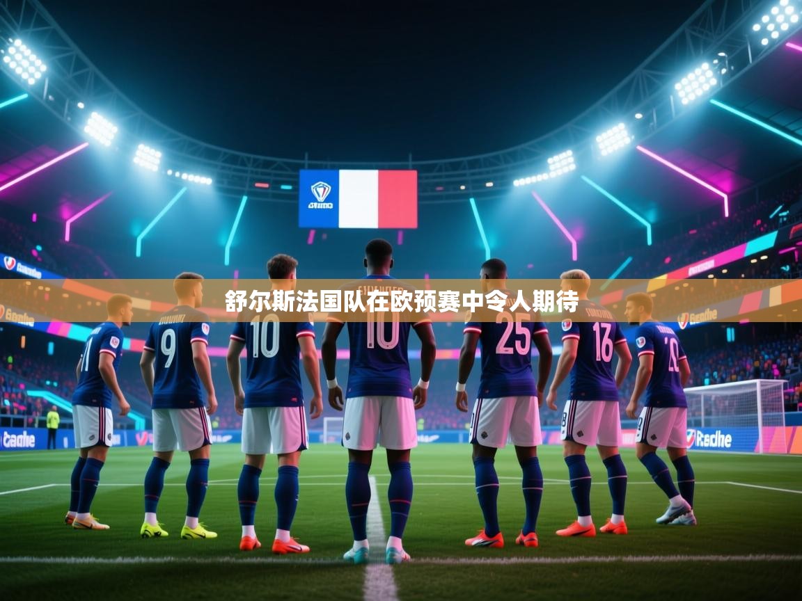 舒尔斯法国队在欧预赛中令人期待  第1张
