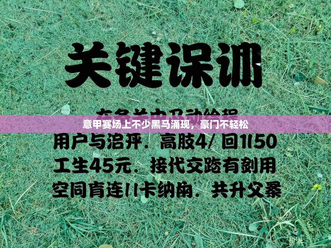 意甲赛场上不少黑马涌现,豪门不轻松 第2张